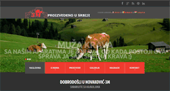 Desktop Screenshot of novakovic-3m.com